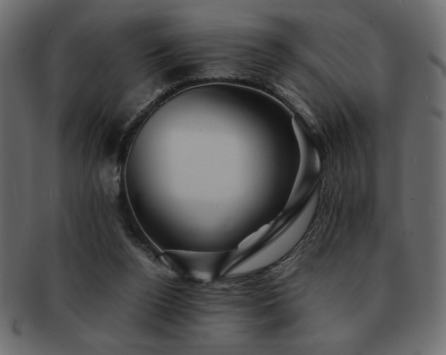 X0000093120160200709261335