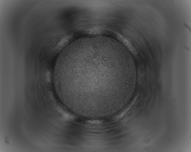 X0000093120161200709261335