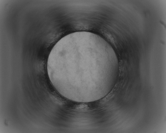 X0000093120162200709261335