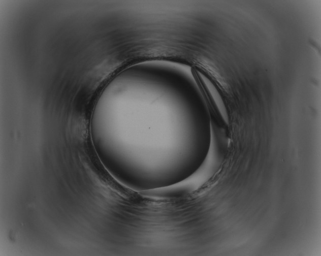 X0000093120164200709261335
