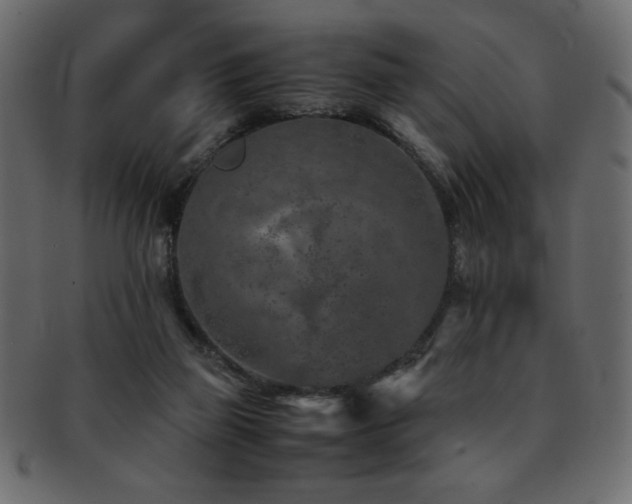 X0000093120165200709261335