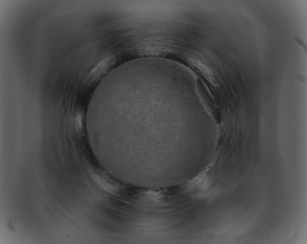 X0000093120166200709261335