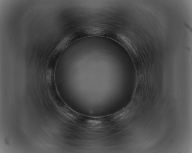X0000093120167200709261335