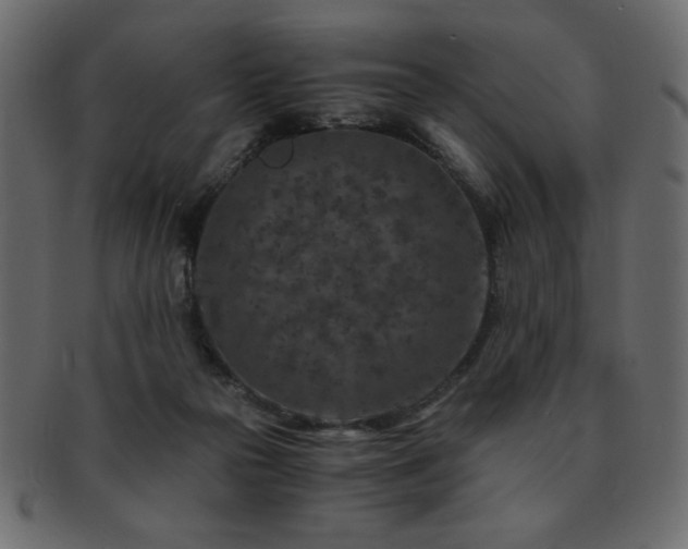 X0000093120169200709261335