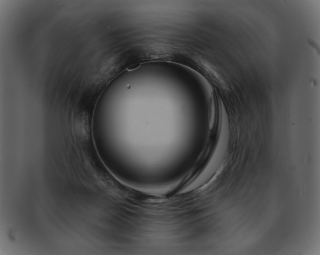 X0000093120170200709261335