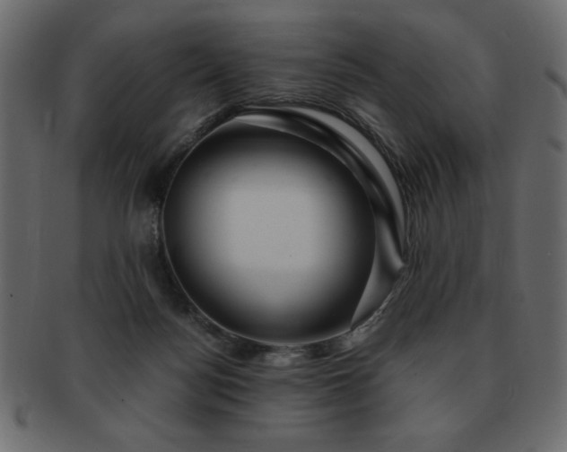 X0000093120172200709261335