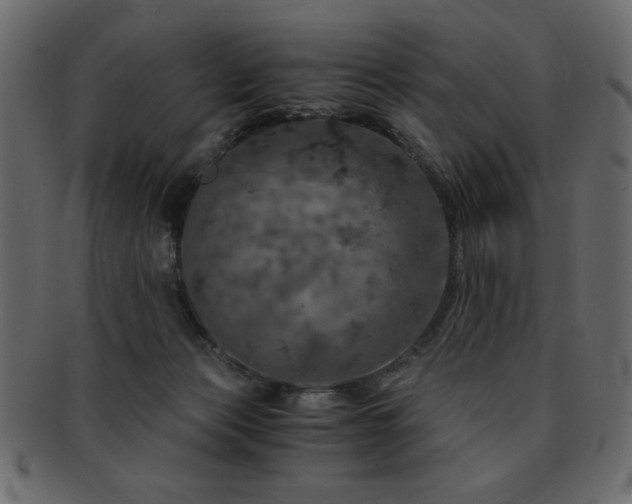 X0000093120173200709261335