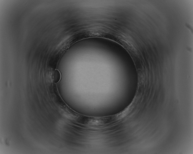 X0000093120174200709261335