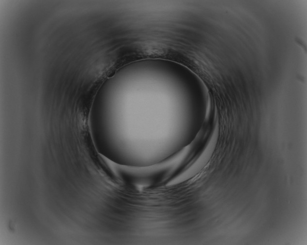 X0000093120176200709261335