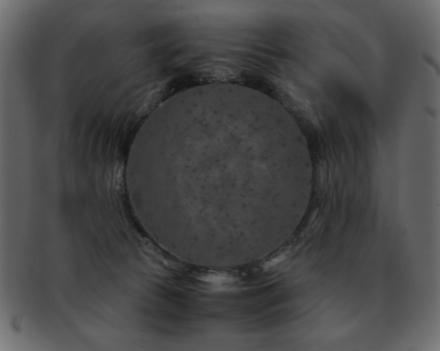 X0000093120177200709261335