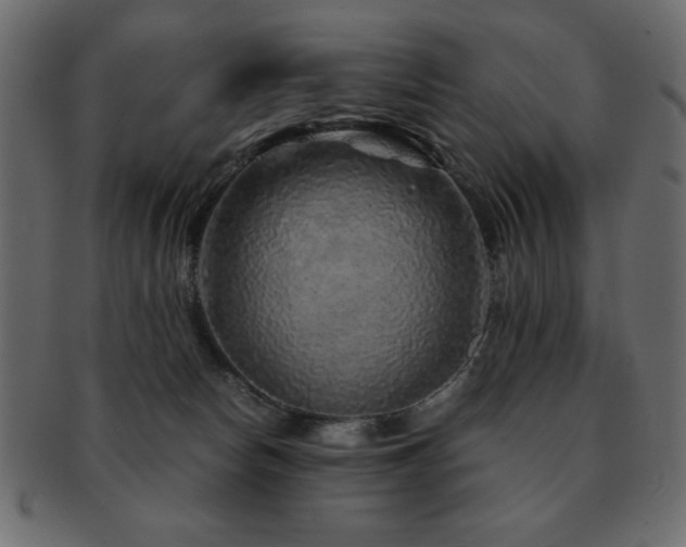 X0000093120178200709261335