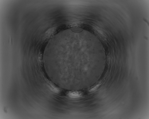 X0000093120181200709261335