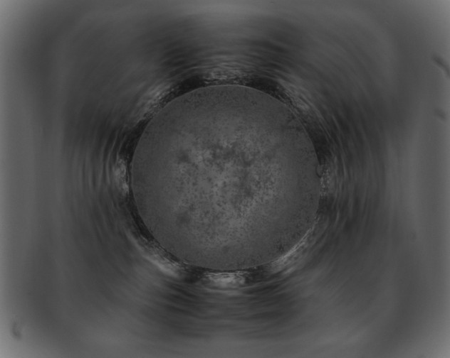 X0000093120187200709261335
