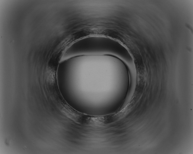 X0000093120188200709261335