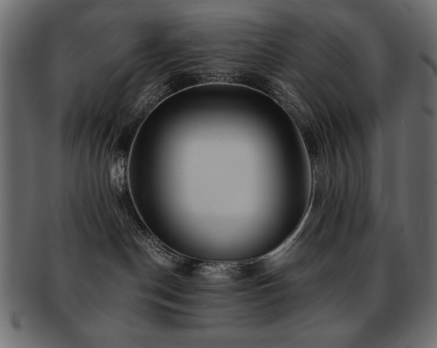 X0000093120190200709261335