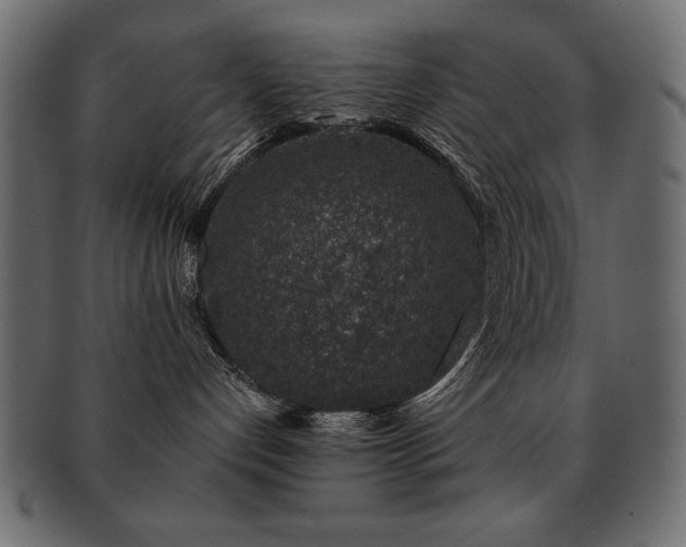 X0000093120192200709261335