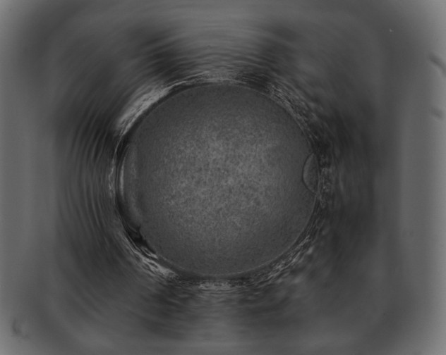 X0000093120194200709261334