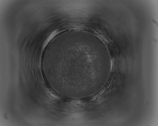X0000093120195200709261334