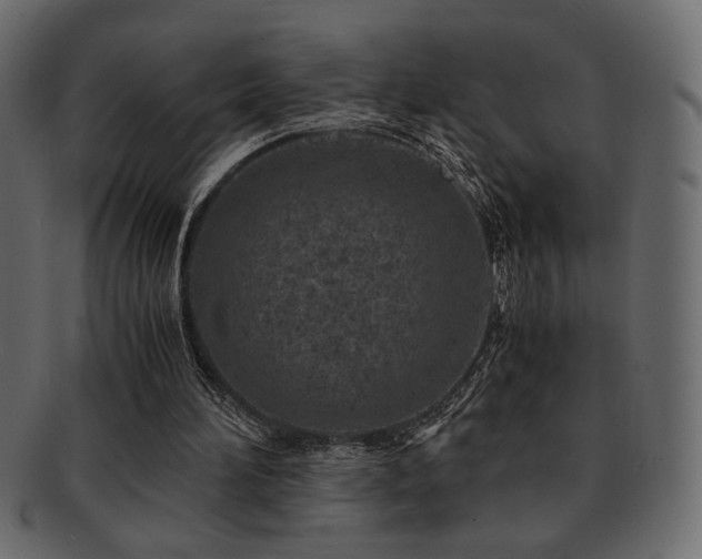 X0000093120196200709261334