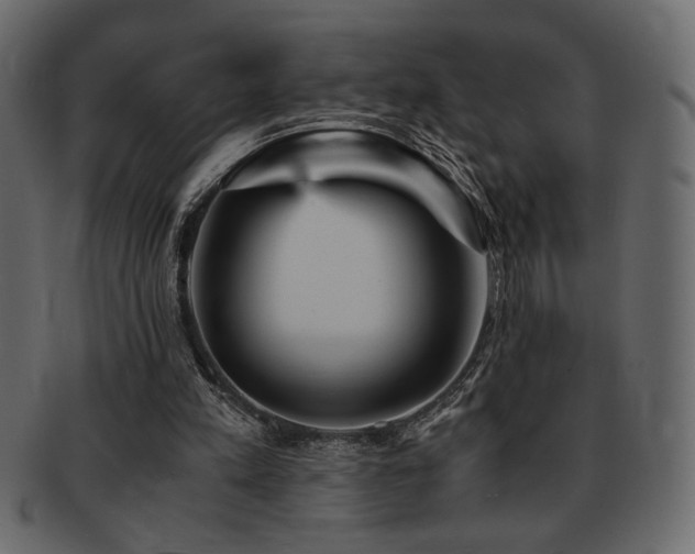 X0000093120197200709261334