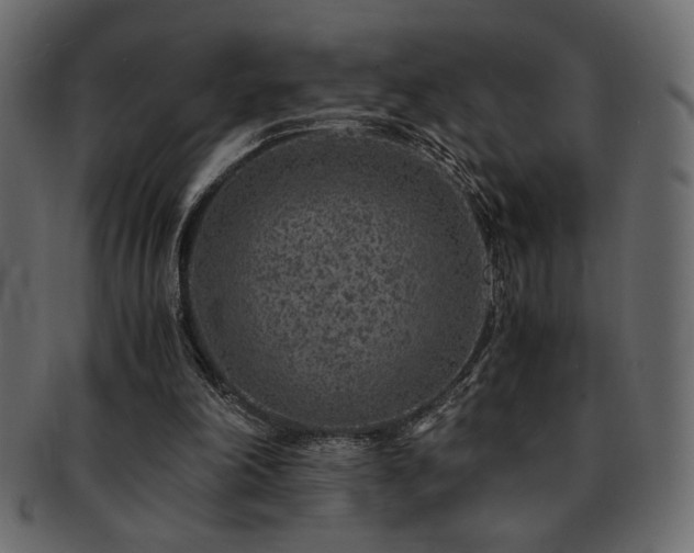 X0000093120198200709261334