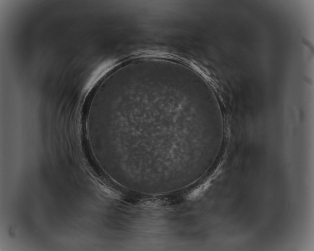 X0000093120199200709261334