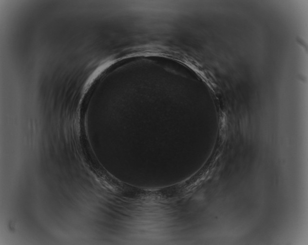 X0000093120200200709261334
