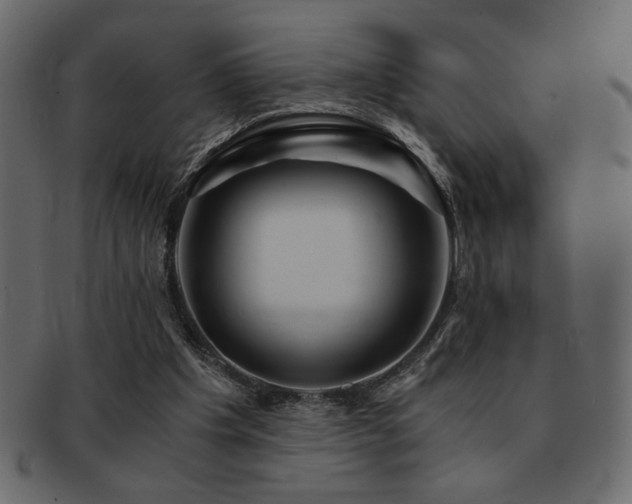 X0000093120201200709261334