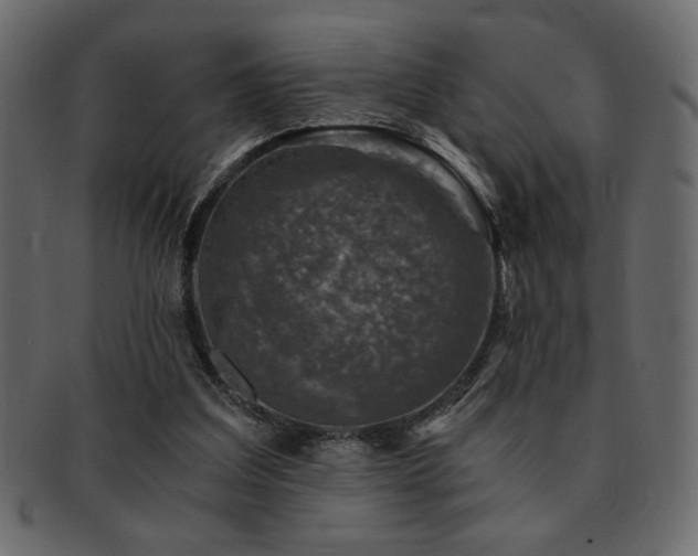 X0000093120203200709261334