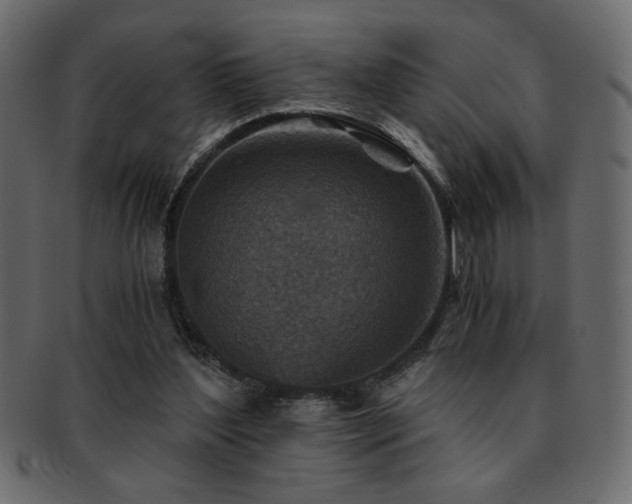 X0000093120204200709261334
