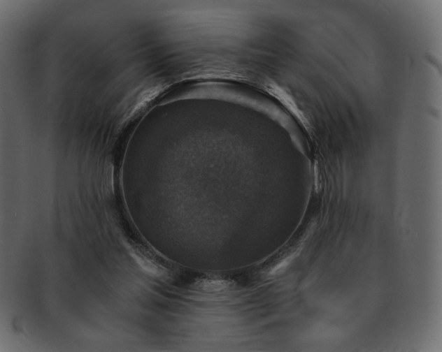 X0000093120205200709261334