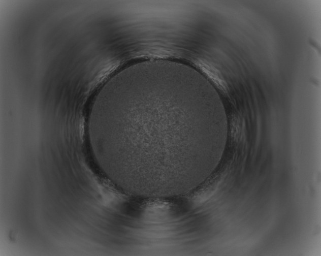 X0000093120206200709261334