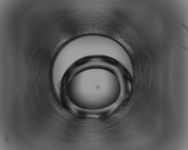 X0000093120207200709261334
