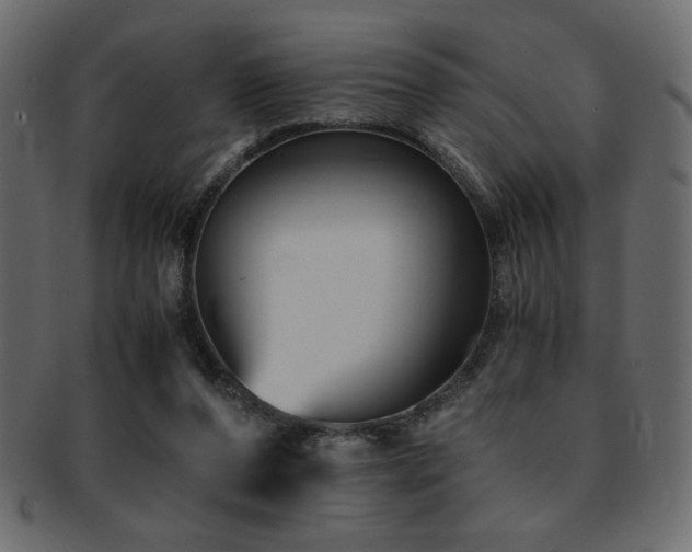 X0000093120208200709261334