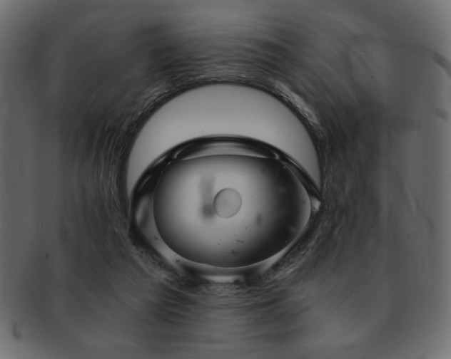 X0000093120209200709261334