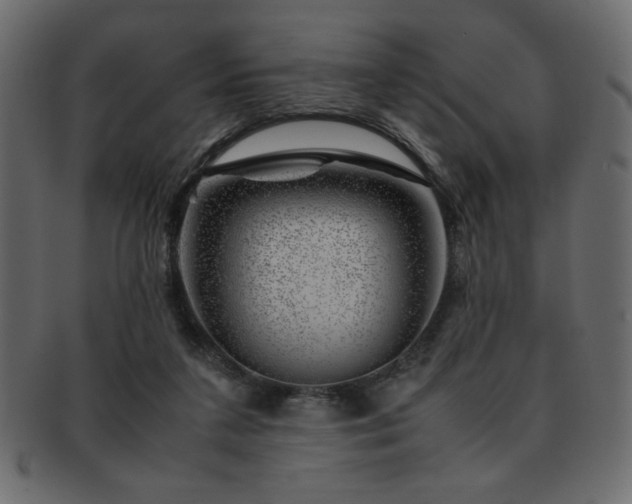X0000093120211200709261334