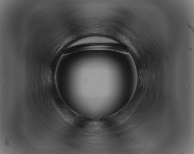 X0000093120212200709261334