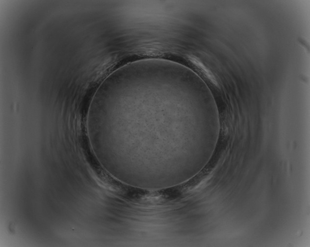X0000093120213200709261334