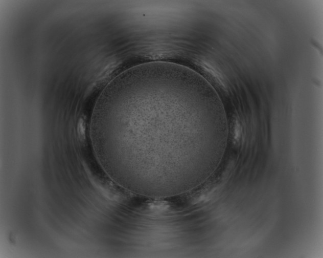 X0000093120214200709261334