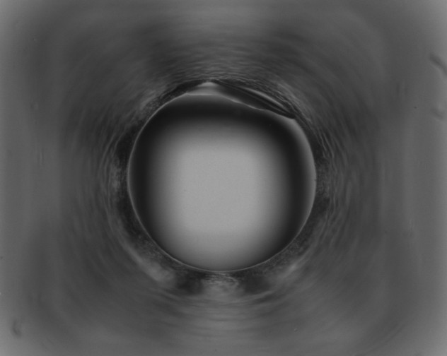X0000093120215200709261334
