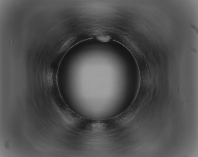 X0000093120216200709261334