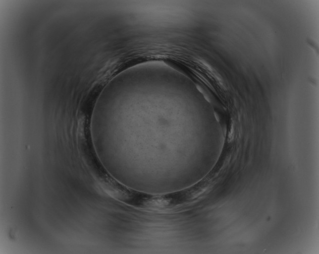 X0000093120217200709261334