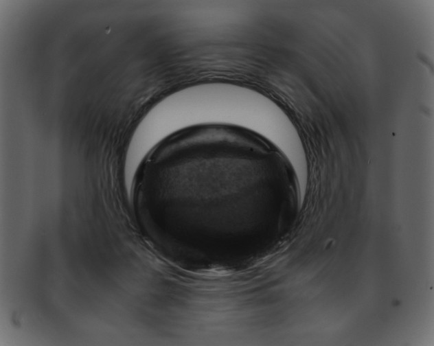 X0000093120219200709261334