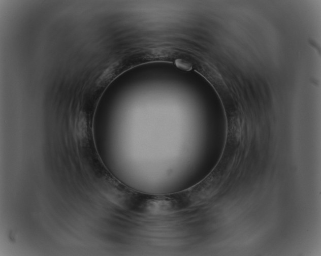 X0000093120220200709261334
