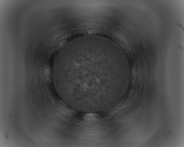 X0000093120222200709261334