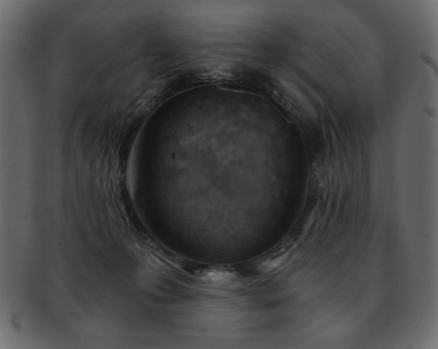 X0000093120223200709261334