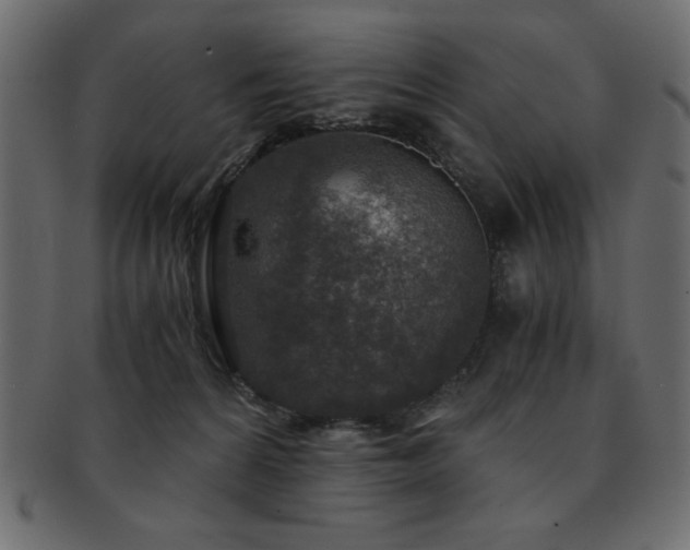 X0000093120224200709261334