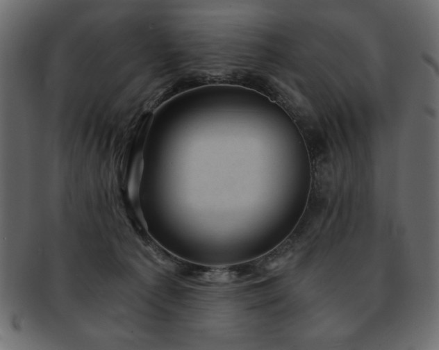 X0000093120225200709261334