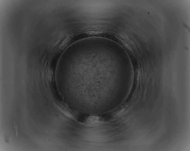 X0000093120227200709261334