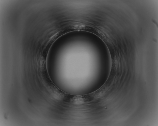 X0000093120228200709261334